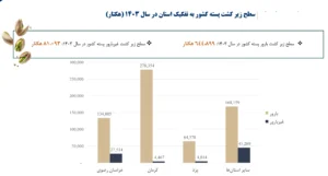 پسته خراسان رضوی؛ ظرفیت بزرگ تولید، اما با چالش بهرهوری و صادرات+جدول 2 پسته خراسان رضوی